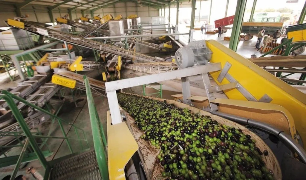El Aceite De Oliva Se Desploma Y El Chocolate Es El Nuevo Enemigo Para El Coste De La Vida 2 La Amenaza De Los Aranceles Estadounidenses Y Su Impacto En El Sector