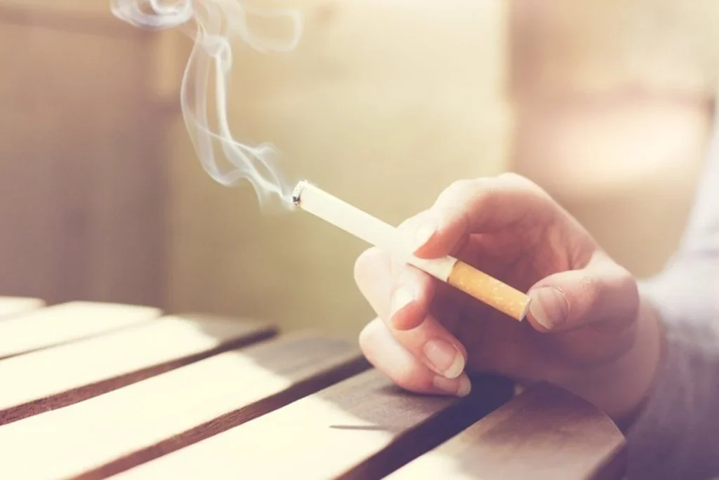 Nuevo Vaivén De Precios Del Tabaco En España Entre Mafias, Falta De Mano De Obra Y Restricciones Europeas 5 La Otra Cara Del Tabaco: El Impacto En El Campo Español