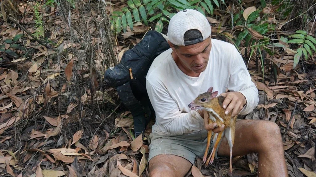 Problemas Legales En Tailandia