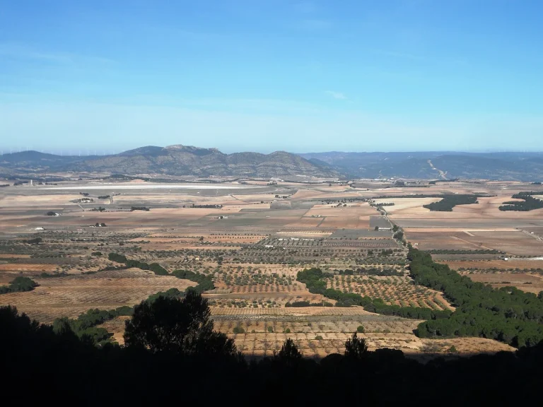 La ‘Toscana valenciana’ te espera: Un paisaje de viñedos y pueblos con encanto a un paso de la ciudad