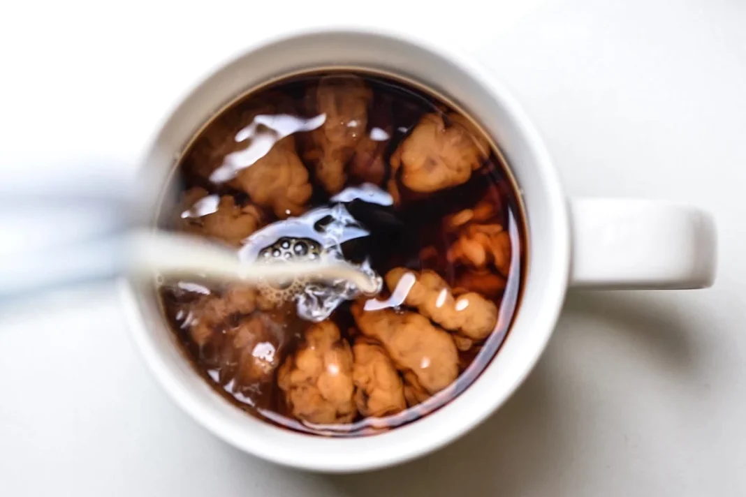 CAFÉ CON CORDYCEPS