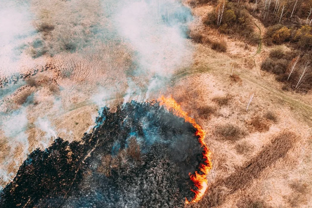 EL VERDADERO FINAL DE LA TIERRA SEGÚN LA CIENCIA