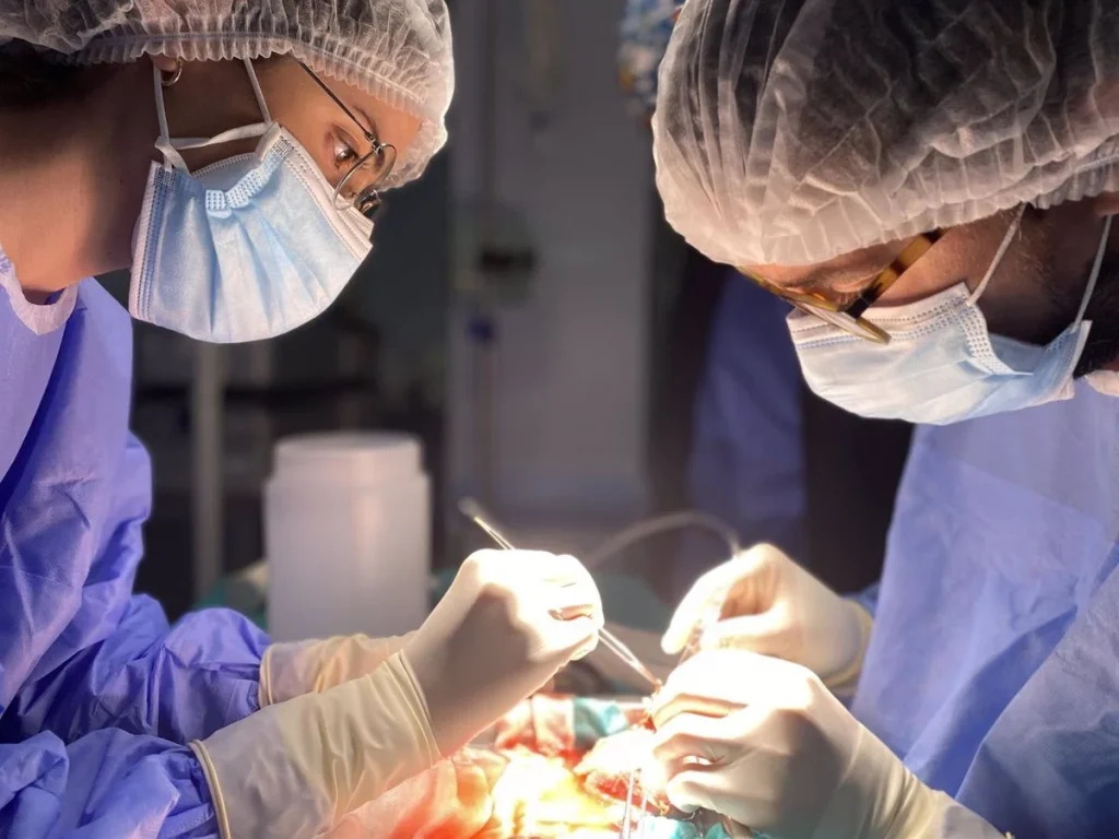 El Papel Fundamental De Los Hospitales Sin Programa De Trasplantes