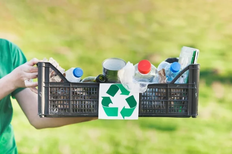 ¿Qué pasa con los envases reciclados? El papel de Ecoembes en la economía circular