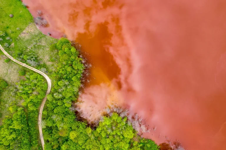 Este increíble lago rojo de África convierte a los animales en ‘piedra’ y este es el motivo