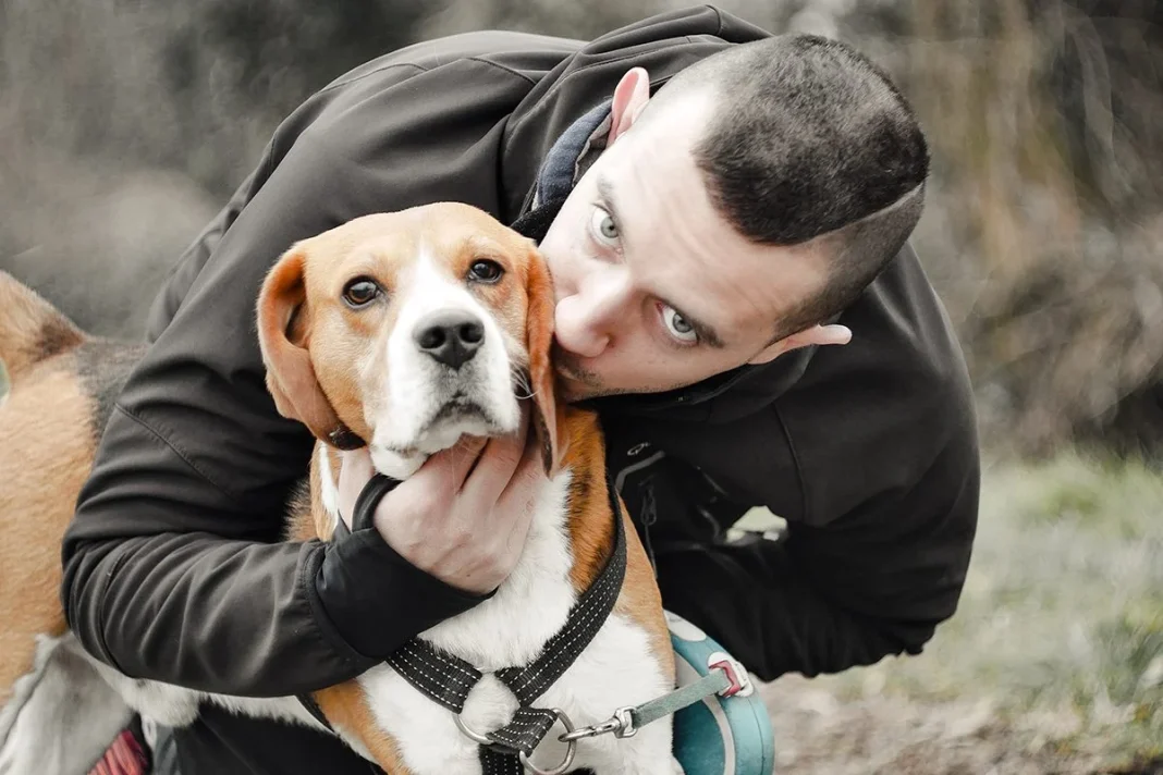 LA BÚSQUEDA DE PERROS SE PARECE A LA DE PAREJA
