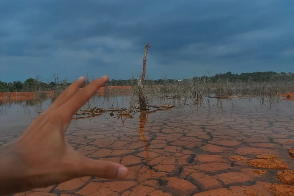 La Sorprendente Propuesta Para Combatir El Cambio Climático