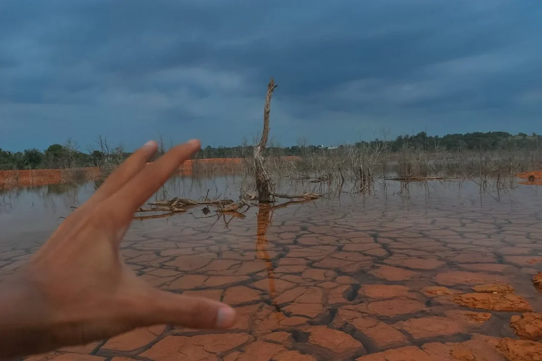 LA SORPRENDENTE PROPUESTA PARA COMBATIR EL CAMBIO CLIMÁTICO