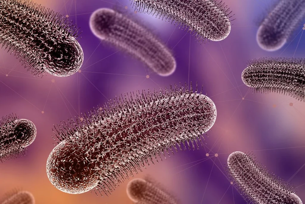 Las Bacterias Generan Energía Como Una Pila Eléctrica