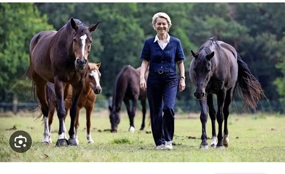 La Muerte Del Caballo De Úrsula Von Der Leyen Provoca Hoy Que España Permita Matar Lobos Ibéricos 1 La Cláusula Española Que Autoriza Su Caza En Todo El País