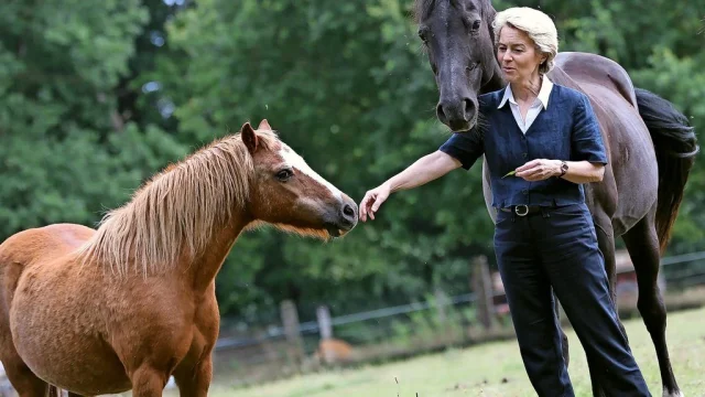 La Muerte Del Caballo De Úrsula Von Der Leyen Provoca Hoy Que España Permita Matar Lobos Ibéricos