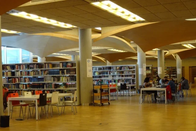 Las Bibliotecas De Madrid Se Convierten En Laboratorios En Verano