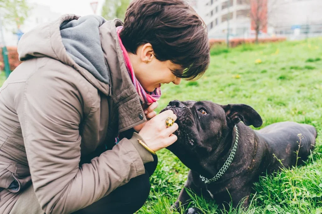 Sincronización Cerebral Entre Perros Y Personas
