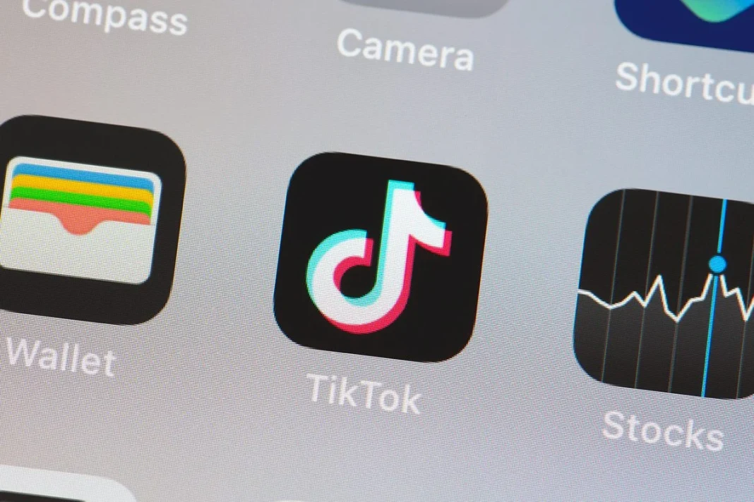 TIKTOK, UNA DE LAS REDES SOCIALES DEL MOMENTO