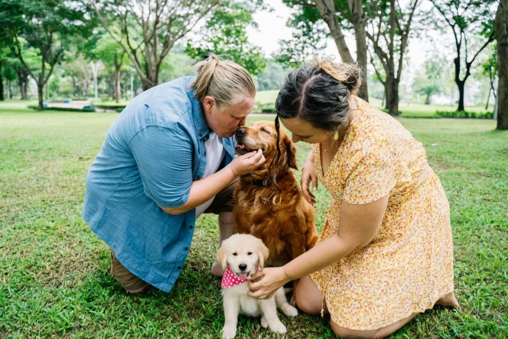 Algunas Enfermedades Que Los Perros Pueden Detectar
