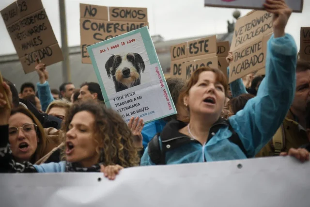 «Salvar La Vida De Un Perro O Cumplir La Norma Y Que Muera»: Los Veterinarios Claman Por Las Víctimas De La Ley Animal