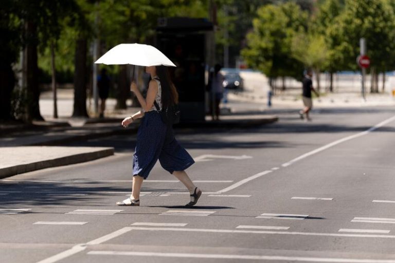 Previsión del tiempo: Avisos activos por altas temperaturas y tormentas