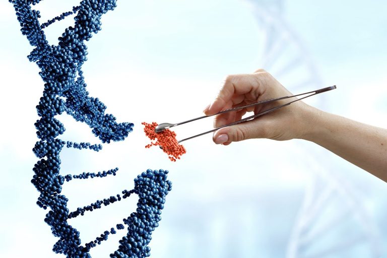 Cambridge y Oxford se unen para crear el primer genoma humano artificial