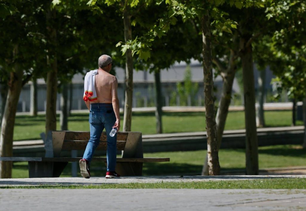 Cientos De Muertes En Madrid Y Barcelona Por La Última Ola De Calor, Una Amenaza Urbana Invisible 1 El Calor Extremo Dispara La Mortalidad En Las Principales Ciudades Sin Una Respuesta Pública Clara