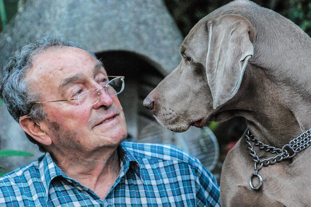 Los Perros Pueden Detectar El Párkinson Con Un 98% De Acierto