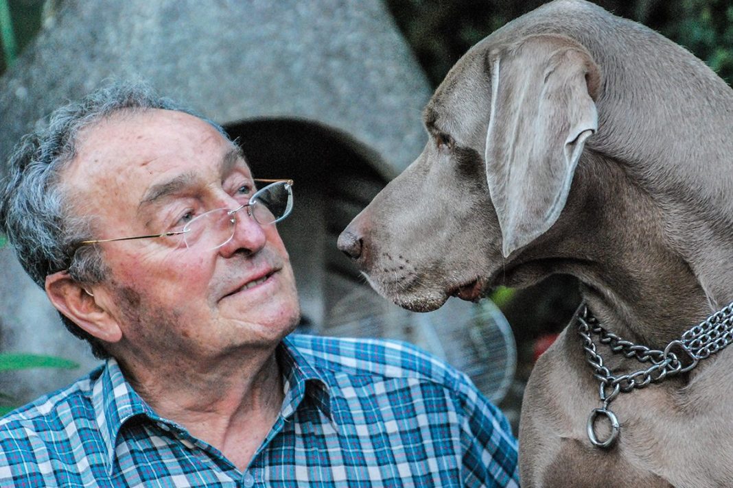 LOS PERROS PUEDEN DETECTAR EL PÁRKINSON CON UN 98% DE ACIERTO