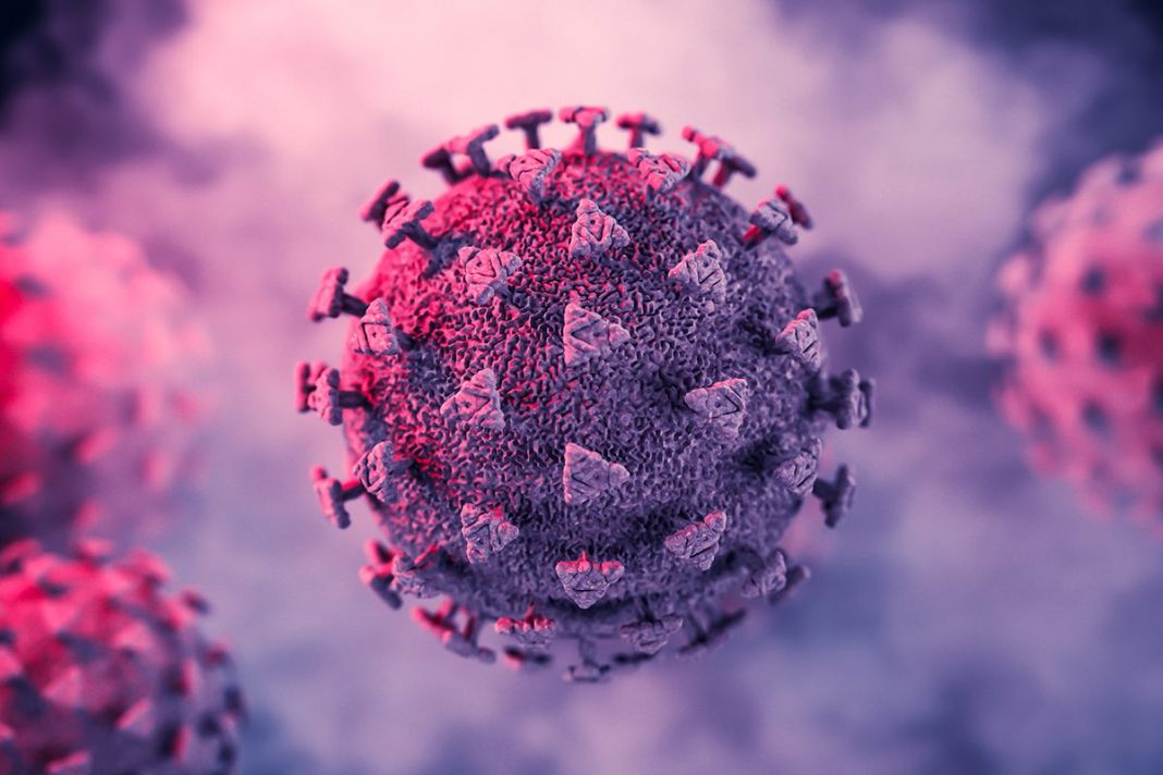 LOS VIRUS TAMBIÉN GENERAN RESISTENCIA A LOS FAGOS