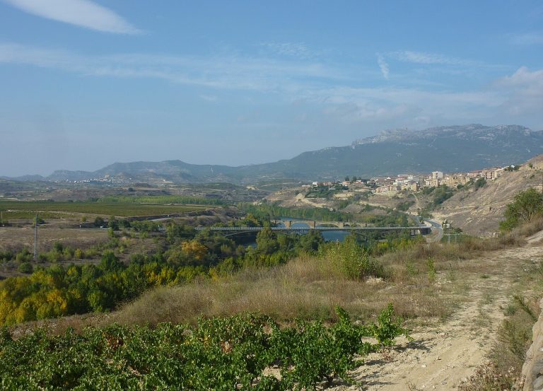 La escapada perfecta para los amantes del vino: un recorrido por las bodegas de La Rioja