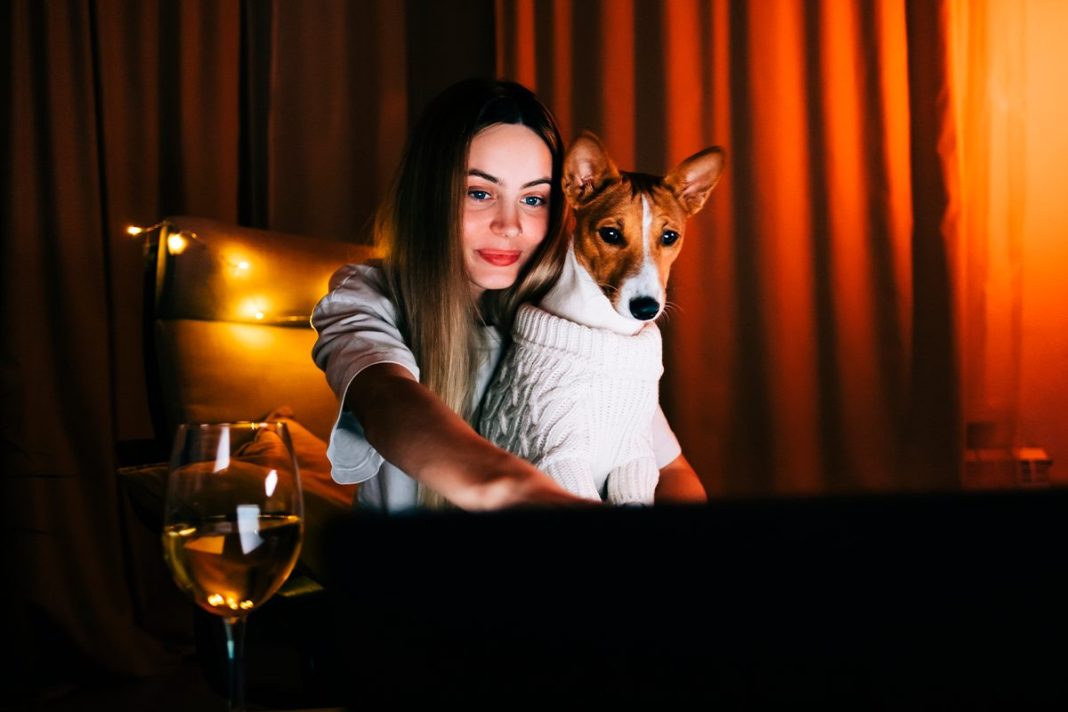 NO TODOS LOS PERROS REACCIONAN IGUAL