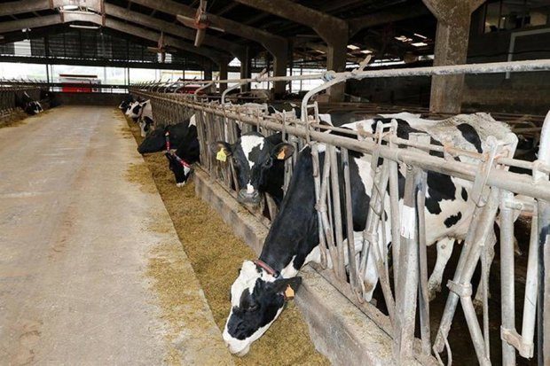 Los Veterinarios Entran En La Agenda Estatal: La Agencia De Salud Pública Abre La Puerta A Sus Demandas 3 Una Oportunidad Histórica Para Integrar La Salud Animal En La Estrategia Sanitaria Nacional
