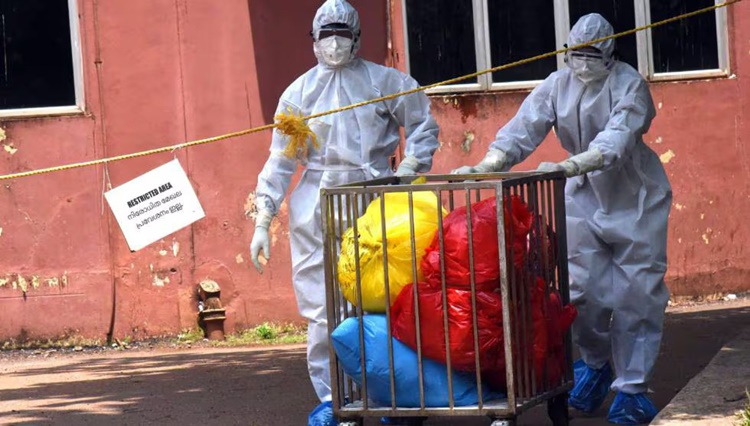 La Oms Vigila El Virus Nipah Como Posible Pandemia Tras Matar Ya A Una Joven 1 Virus Nipah India