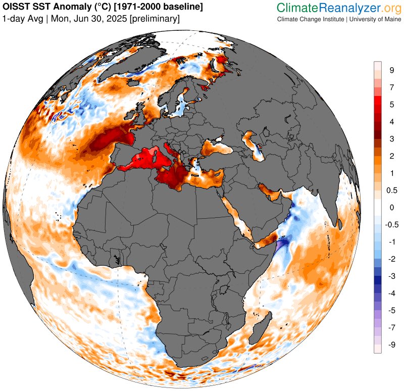 Anomalia Temperatura Mar Mediterraneo