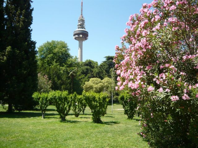 La Falta De Previsión Del Ayuntamiento De Madrid Deja El Parque De La Fuente Del Berro En Mínimos