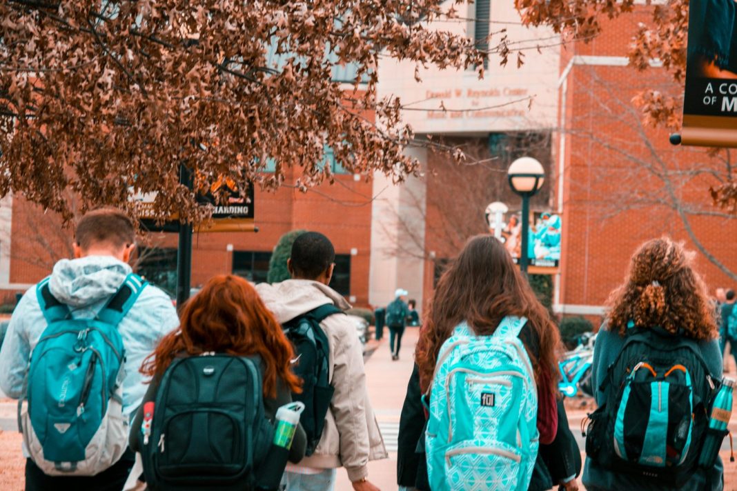 ¿Qué se estudia en esta carrera universitaria?