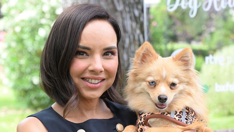 ‘Dog House’ apuesta por el bienestar animal