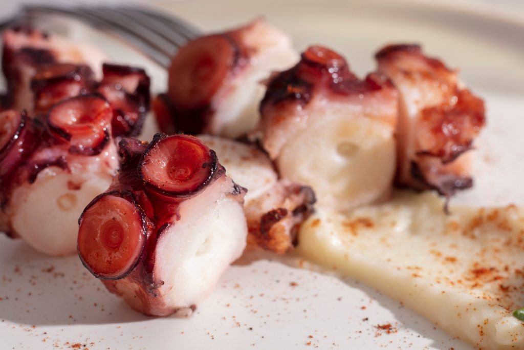 DEL AGUA AL PLATO: EL ARTE DE SERVIR UN PULPO DE LEYENDA