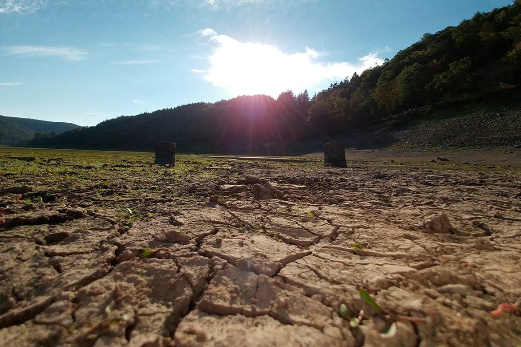 ALGUNAS ESTACIONES DESAPARECEN DEL CLIMA DE LA TIERRA