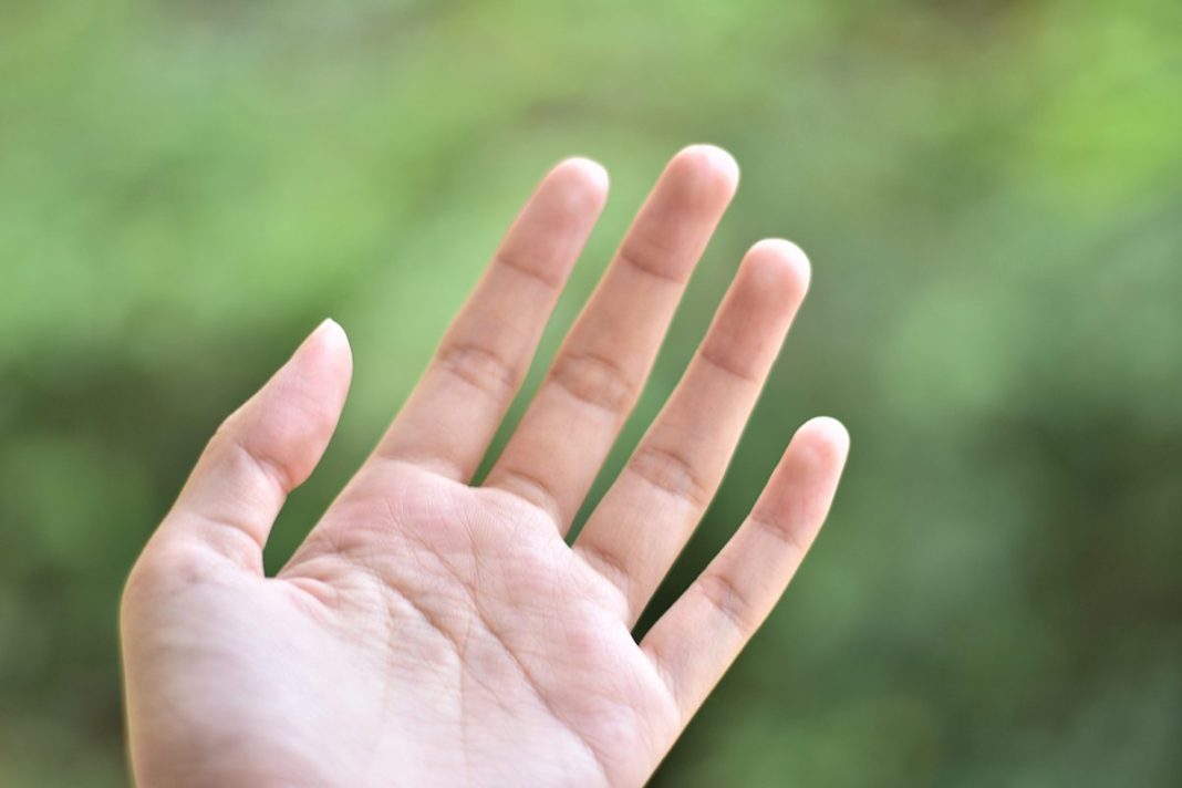 CÓMO FUNCIONAN LOS PAGOS CON LA PALMA DE LA MANO