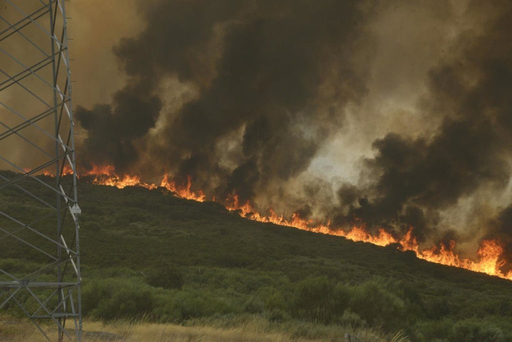 Incendios En Castilla Y León: Cómo Pedir Los 500 Euros De Ayuda Por Familia Desde Hoy 2 Dónde Y Cómo Presentar La Solicitud Paso A Paso