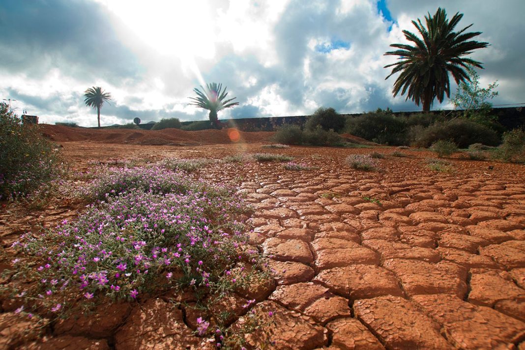 EL SER HUMANO ALTERA EL CLIMA DE LA TIERRA