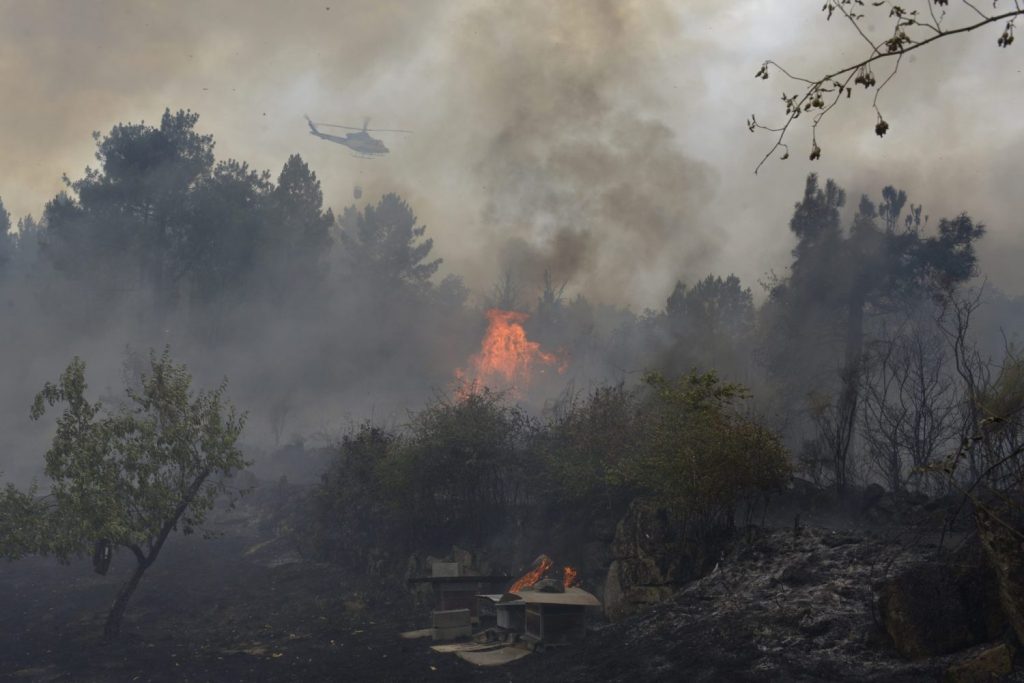 El Suelo Quemado: Décadas De Retroceso En La Regeneración Natural De Los Ecosistemas
