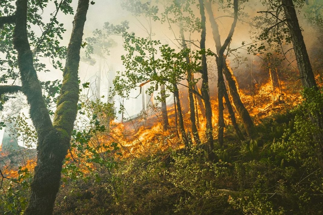 GOOGLE MAPS TE INFORMA DE LOS INCENDIOS