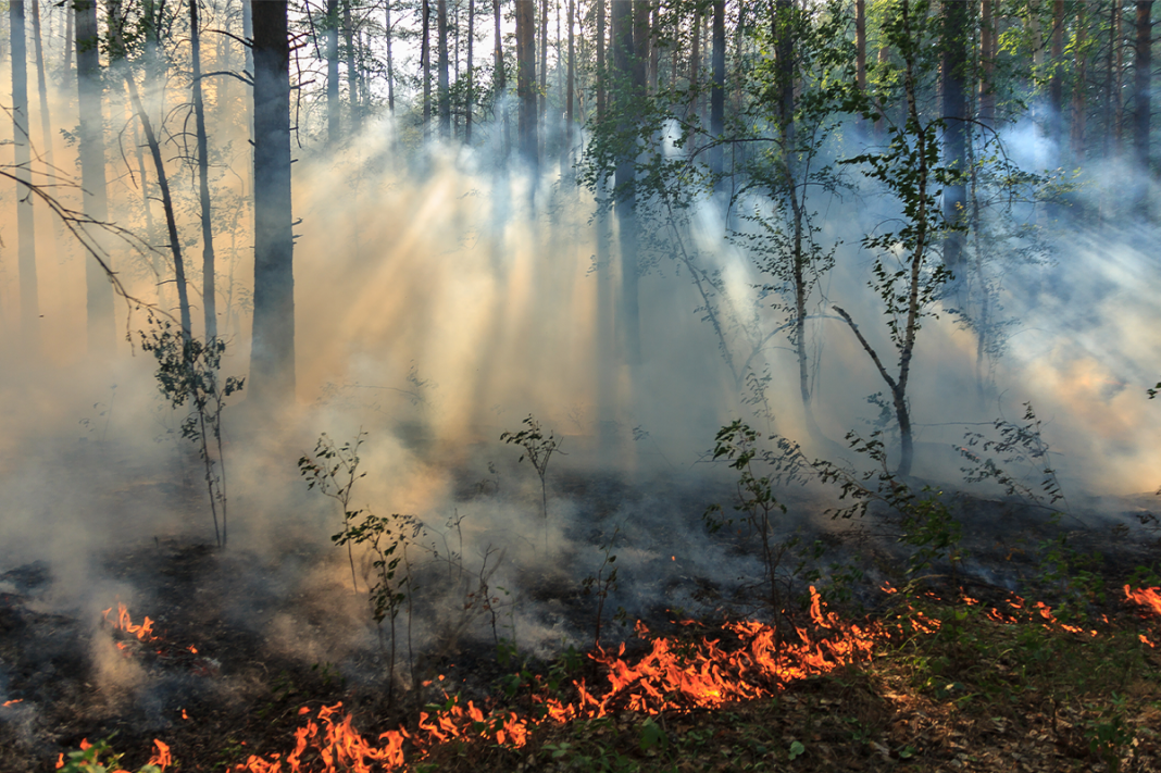 LOS INCENDIOS FORESTALES POR RAYOS SECOS SON DIFÍCILES DE CONTROLAR