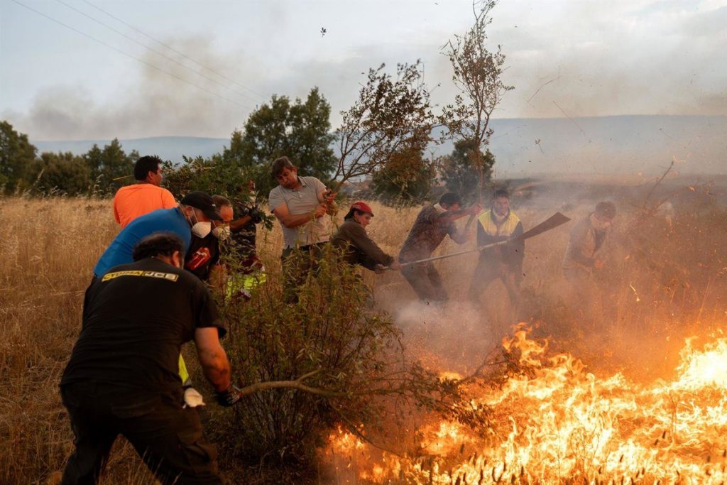 Incendios En Castilla Y León: Cómo Pedir Los 500 Euros De Ayuda Por Familia Desde Hoy 1 Quién Puede Solicitar La Ayuda Y Qué Requisitos Hay Que Cumplir