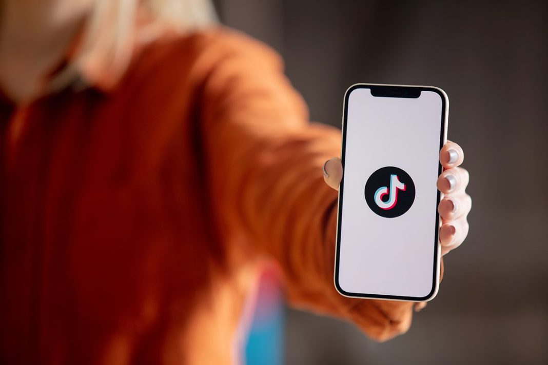 SPARKKITTY' RECOPILA DATOS DE LOS USUARIOS
