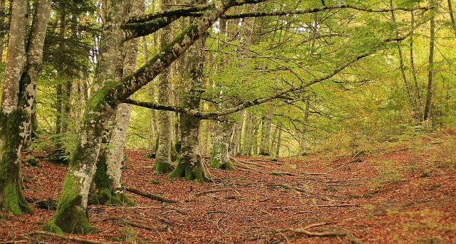 Tras Analizar 100 Paisajes De Europa, National Geographic Da Su Veredicto: El Nº1 Para Desconectar Está En Navarra