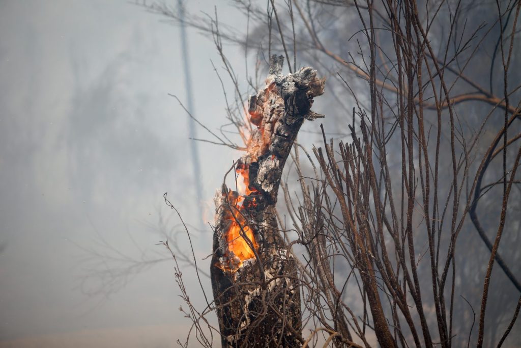 Un Incendio Forestal En Quiroga, Galicia