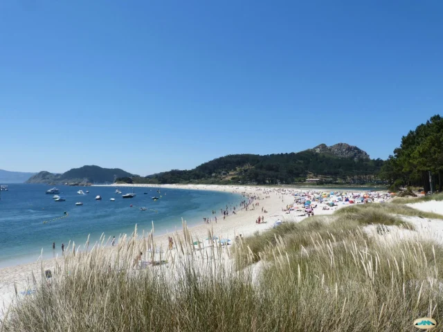 Lucía Sotelo (64), Mariscadora De O Grove Desde Hace 40 Años: «En Septiembre, La Nécora No Es Marisco, Es Mantequilla Y Solo O Pues Conseguir En…»