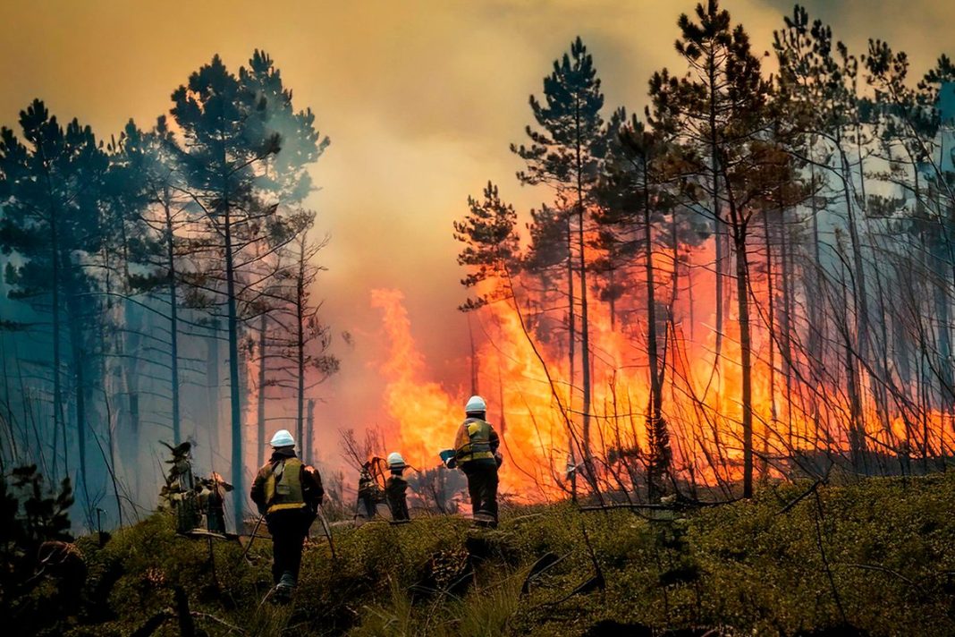 ¿SE PUEDE PREDECIR UN INCENDIO FORESTAL?