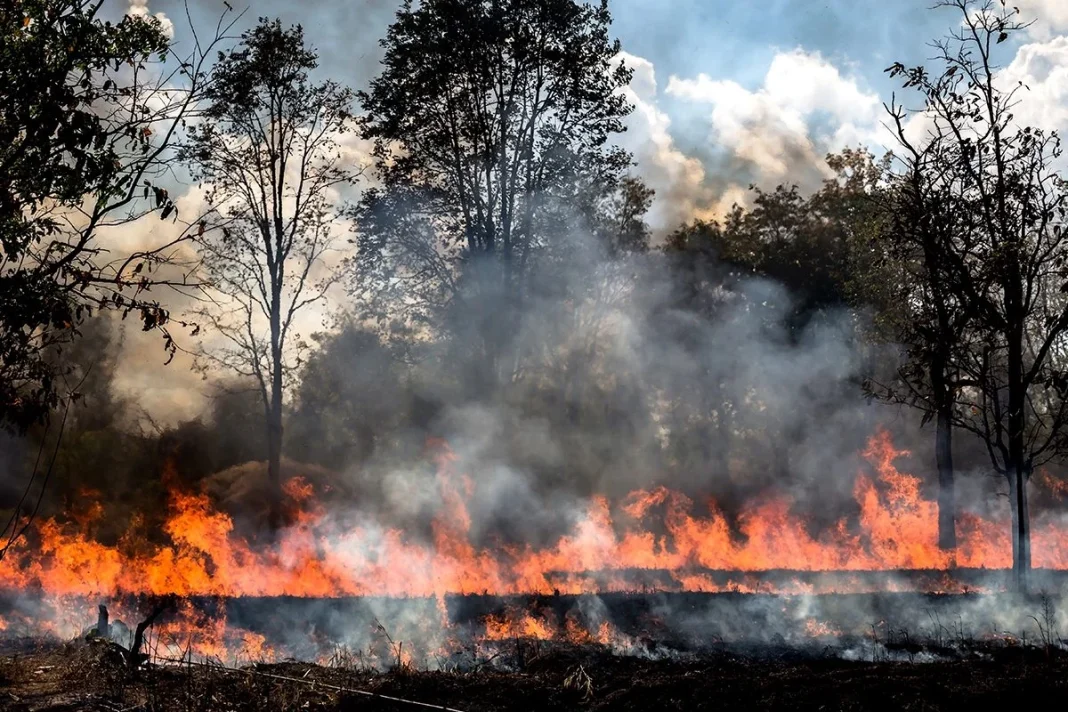¿SE PUEDEN SOFOCAR LOS MEGAINCENDIOS?