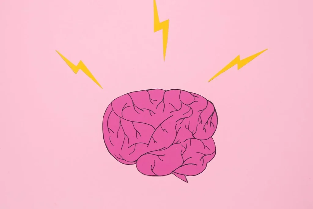 CONEXIÓN ENTRE MANOS Y CEREBRO